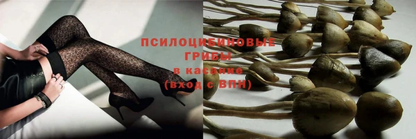 стафф Алексеевка