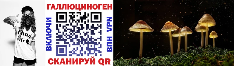 где можно купить   блэк спрут онион  Псилоцибиновые грибы ЛСД  Красноуральск 